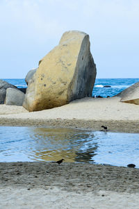 Rock formations on beach