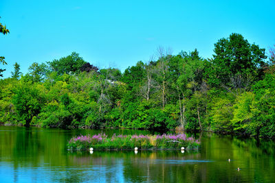 Scenic view of lake against clear sky