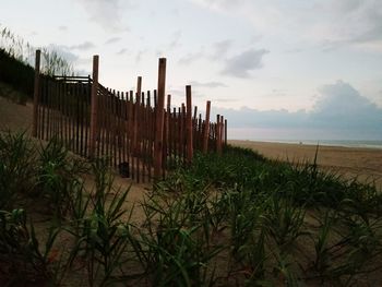 Wooden posts on beach against sky