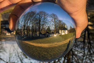 Midsection of person holding glass against bare trees