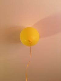 Close-up of yellow flower against orange sky