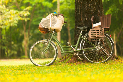 Bicycles on field