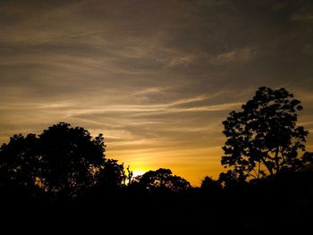 Silhouette trees against sky during sunset