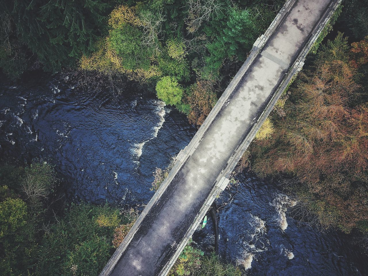 HIGH ANGLE VIEW OF PLANTS BY ROAD AGAINST SKY