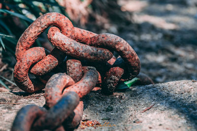 Close-up of rusty chain