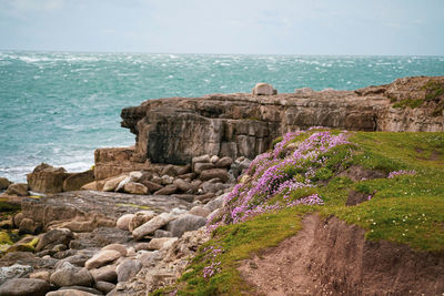 Scenic view of rocky beach against sky