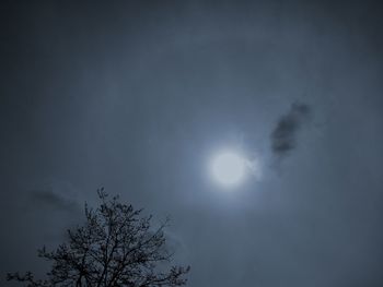 Low angle view of trees against sky