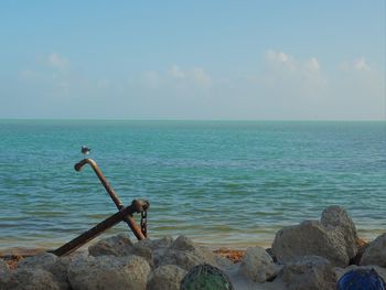Anchor and sea  florida  key largo