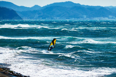 Man windsurfing on sea