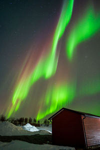 Low angle view of aurora lights against sky at night