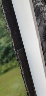 Close-up of metal railing