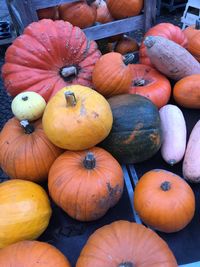 Close-up of pumpkins for sale at market