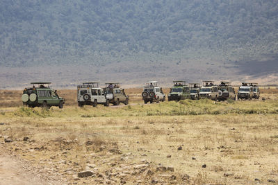 Long row of safari cars at game drive in africa