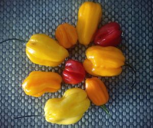 Close-up of yellow bell peppers