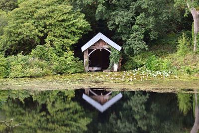 Reflection of trees in water