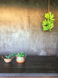 Potted plant