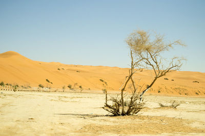 Scenic view of desert against clear sky