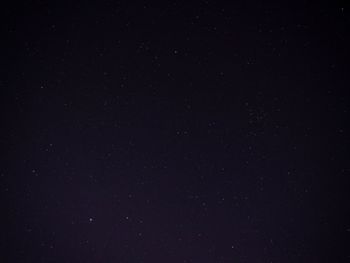 Low angle view of star field against sky at night