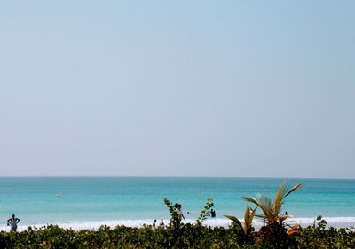 Havelock island beach scenic view of sea against clear sky