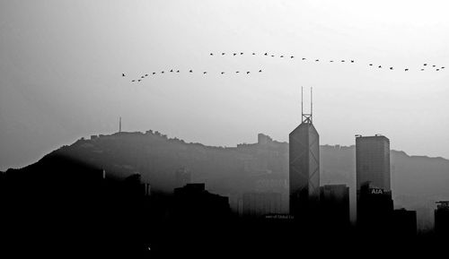 Silhouette birds flying in city against sky