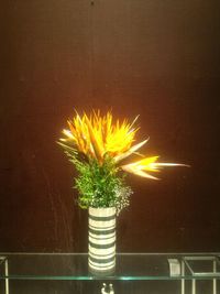 Close-up of flower on table
