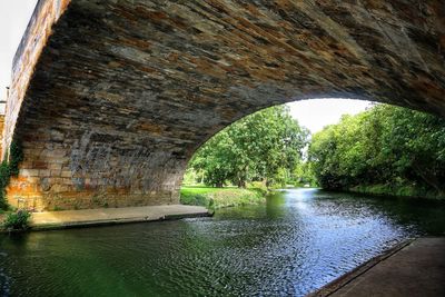 Arch bridge over river against trees