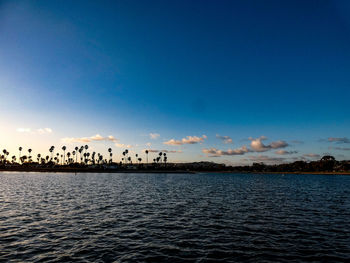 Silhouette birds flying over sea against blue sky