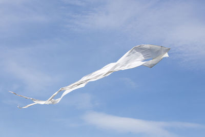 Low angle view of white flying against sky