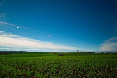 Scenic view of agricultural field against blue sky