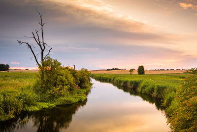 Scenic view of field against sky during sunset