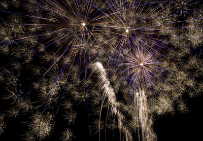 Firework festival at the olympiapark münchen in munich, germany - white/blue