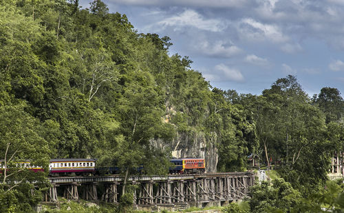 Trees by train against sky