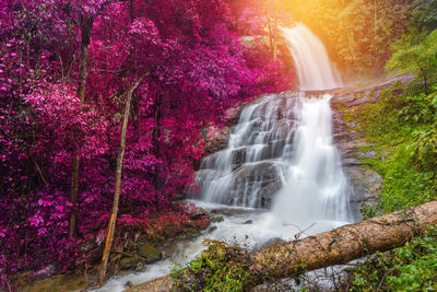 View of waterfall in forest