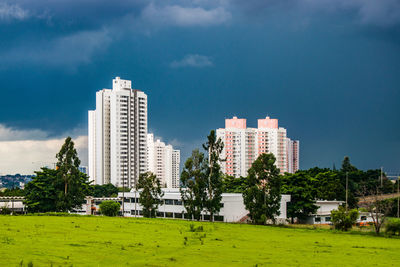 Trees and buildings against sky