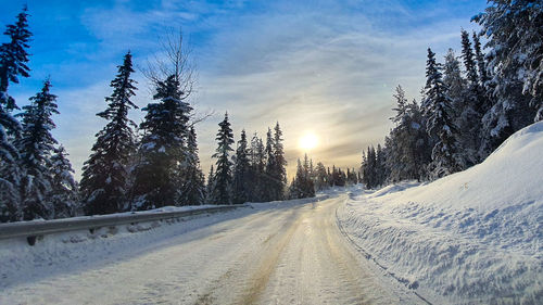 Snow covered road by trees against sky during winter