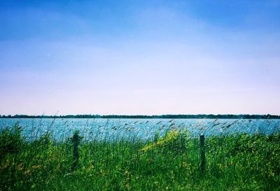 Scenic view of field against clear sky