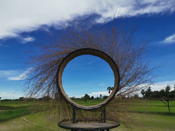 Trees on field against sky