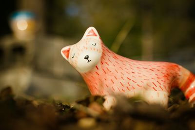 Close-up of a lizard on the wall