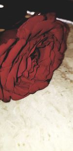 High angle view of painting on bed