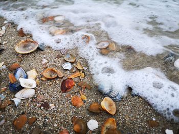 High angle view of pebbles on shore during winter