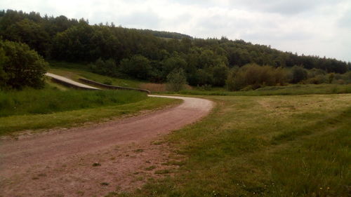 Scenic view of road amidst trees against sky