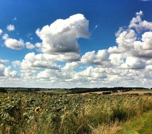 Scenic view of landscape against cloudy sky