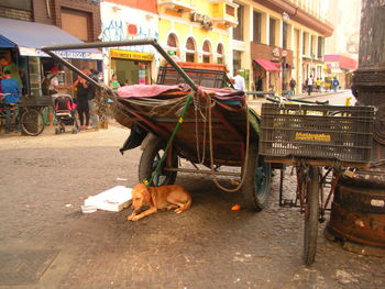 Man on street against buildings in city