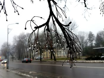 Close-up of wet car on street during rainy season