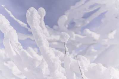 Close-up of snow against sky