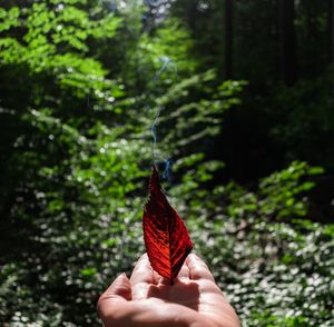 Cropped hand of person holding burning leaf against plants