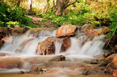 View of waterfall in forest