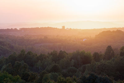 Idyllic countryside landscape with forest layers and orange glowing haze on the horizon at evening