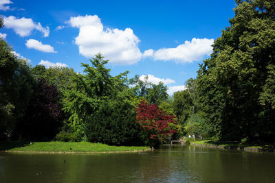 Scenic view of lake by trees in forest against sky