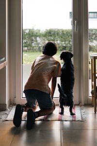 Rear view of black dogs sitting at home